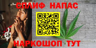 шишки Будённовск