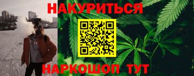 шишки Будённовск