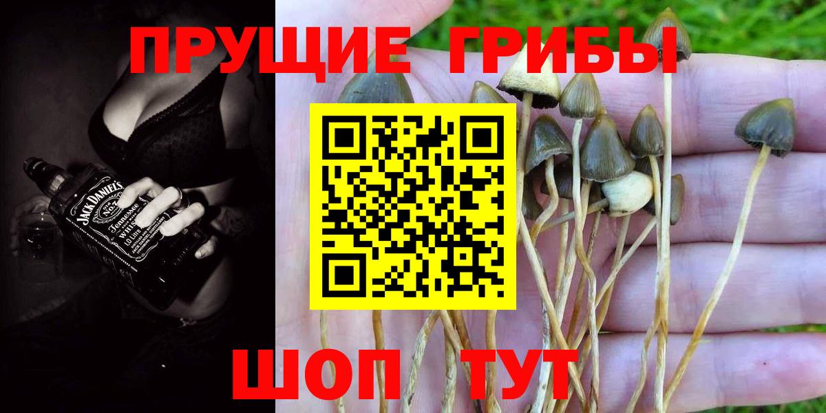 Галлюциногенные грибы Magic Shrooms Красноуфимск